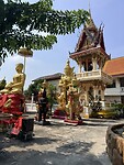 IMG_8509