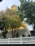 IMG_8545