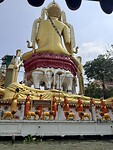 IMG_8549