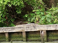 IMG_2676
