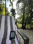 IMG_0234