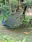 IMG_8597