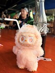 IMG_8629