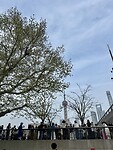 IMG_0498
