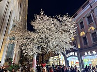 IMG_9079