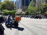 IMG_9174