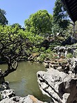 IMG_9191