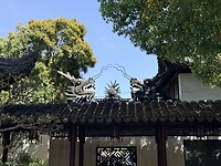 IMG_9195