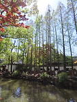 IMG_2775