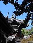 IMG_2767