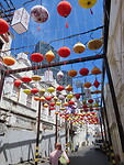 IMG_2790