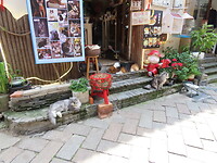 IMG_2806