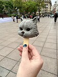 IMG_9345