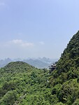 IMG_9446