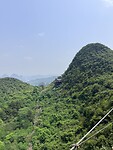 IMG_9462