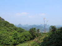 IMG_2899