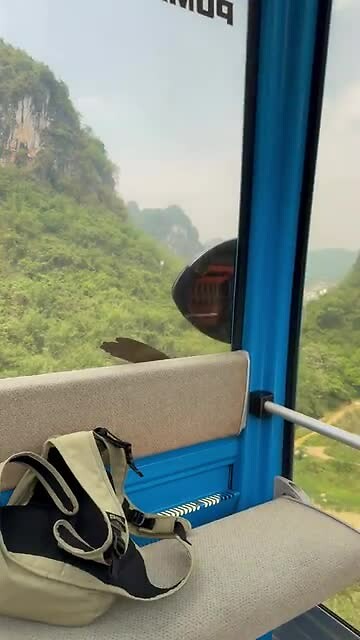 Mountain High