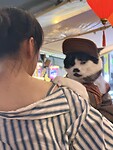 IMG_9491
