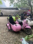 IMG_9547