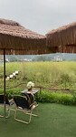 Koffie Country Side