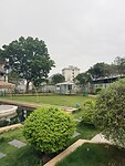 IMG_9685