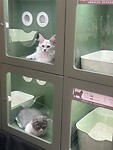 IMG_0595