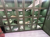 IMG_0596