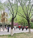 IMG_9709