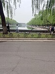 IMG_9729