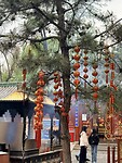 IMG_9742