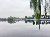 IMG_9743