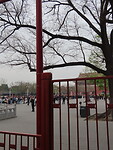 IMG_2953