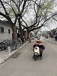 IMG_9788