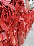 IMG_2967