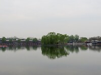 IMG_2971