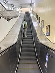 IMG_9790