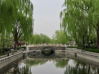 IMG_2973