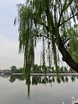 IMG_2972