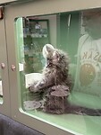 IMG_0606