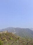 IMG_9818