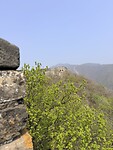 IMG_9822