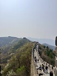 IMG_9841
