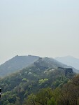 IMG_9884