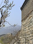 IMG_9908