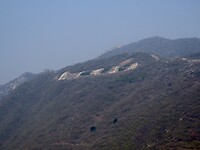 IMG_3004