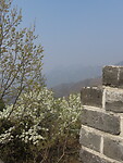 IMG_3009
