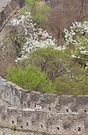 IMG_3022