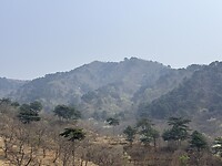 IMG_9918