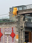 IMG_9951