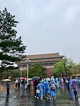 IMG_9992